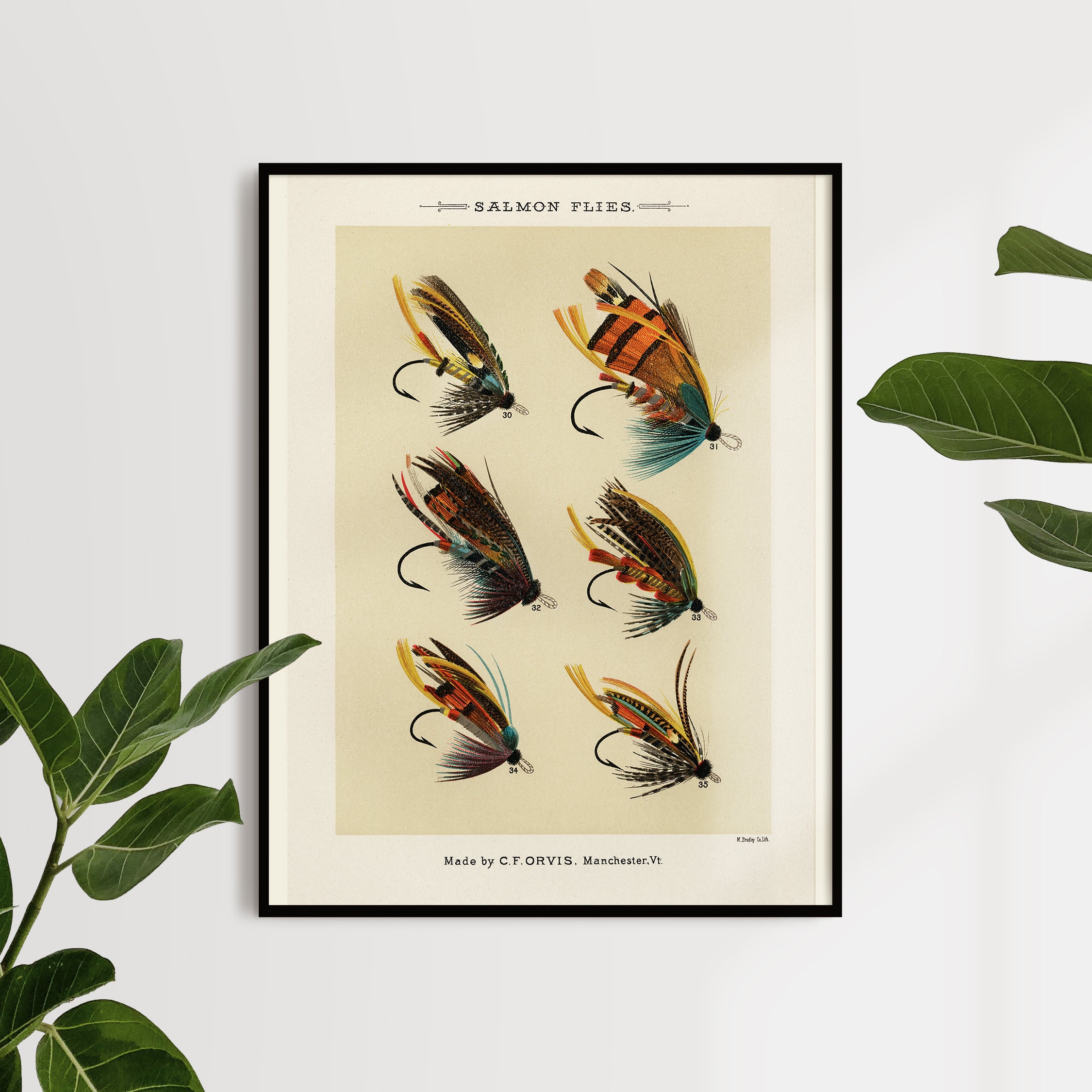 FISHING FLIES III by Mary Orvis Marbury Framed Art - Wall Art - Products
